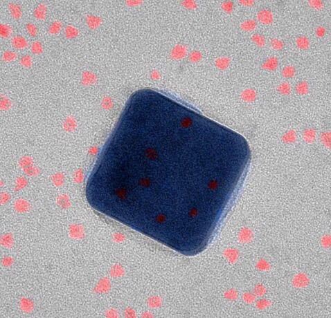 CAPTION A nanoscale view of the new superfast fluorescent system using a transmission electron microscope. The silver cube is just 75-nanometers wide. The quantum dots (red) are sandwiched between the silver cube and a thin gold foil. CREDIT Maiken Mikkelsen, Duke University