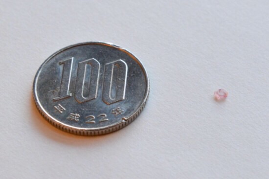 CAPTION A crystal made of manganese and other elements that provides a strong hyperfine interaction between the nucleus and electrons is just a few millimeters wide. It is shown next to a 100 Yen coin for scale.