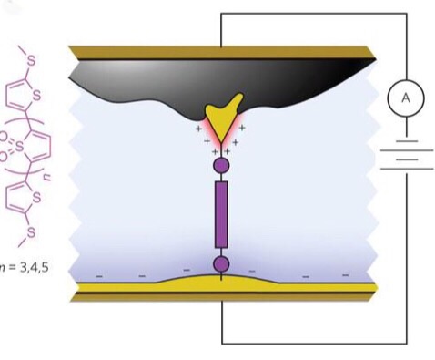 CAPTION Schematic of the molecular junction created using asymmetric area electrodes which functions as a diode, allowing current to flow in one direction only.