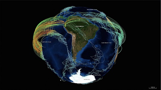 CAPTION Climate network visualization revealing the backbone structure of strong statistical interrelations (links) between surface air temperature time series (nodes) all over the globe with features including the tropical Walker circulation and surface ocean currents. CREDIT T. Nocke/PIK Potsdam and C. Tominski/Uni Rostock