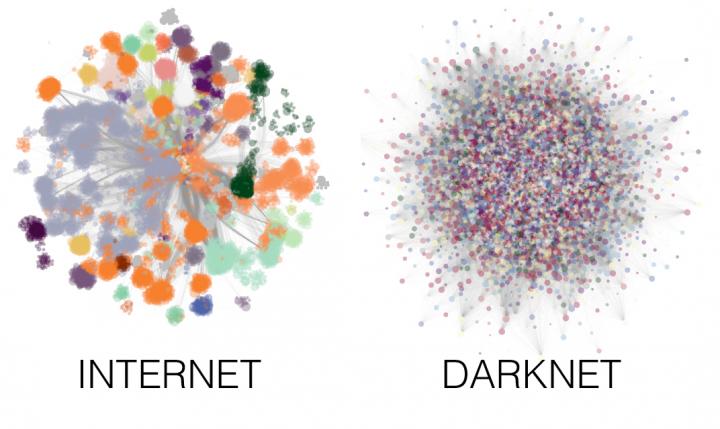 Structural analysis of Internet and Darknet topologies. Force-directed visualization of the Internet and the Darknet in 2015, with nodes colored to put in evidence the underlying mesoscale structure.