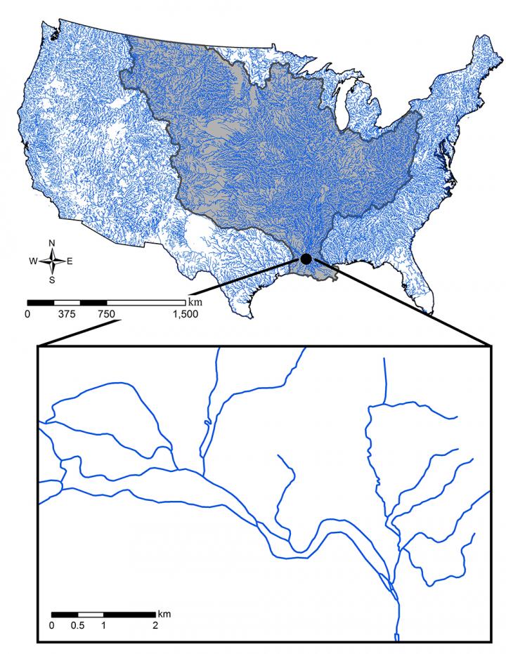 The 1:100,000 NHDPlusV1 stream network over the conterminous US. The Mississippi basin is emphasized dark blue. The inserted box shows an example of complexity within stream networks, including braided streams.  Credit: Yin-Phan Tsang, Center for Systems Integration and Sustainability, Michigan State University