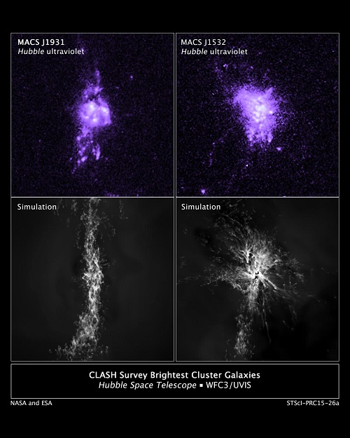 CAPTION Top: Actual Hubble observations of gas density in the central portion of two galaxies. Bottom: Computer simulations of knots of star formation in the two galaxies show how gas falling into a galaxy's center is controlled by jets from the central black hole. CREDIT Credits: NASA/ESA/M. Donahue/Y. Li