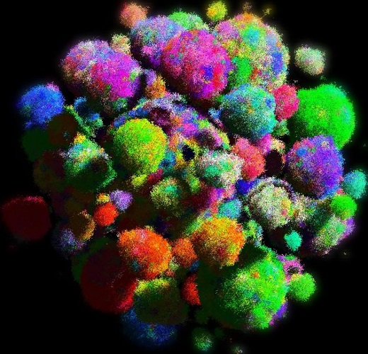 CAPTION This is a three-dimensional model of a tumor showing cell types in varying colors. CREDIT Bartek Waclaw and Martin Nowak