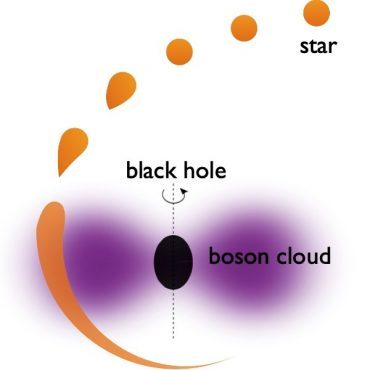 A star (orange) that gets close to a supermassive black hole (black) can be tidally disrupted by the black hole’s strong gravitational pull. According to a new study, If ultra-light bosons exist (purple), they can affect the spin of the black hole, which in turn affects the rate at which tidal disruption events occur. Credit: Peizhi Du