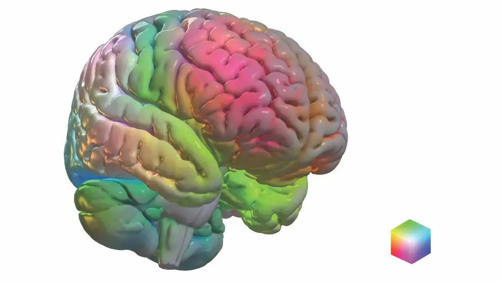Colorful brain 16 x 9 108fc