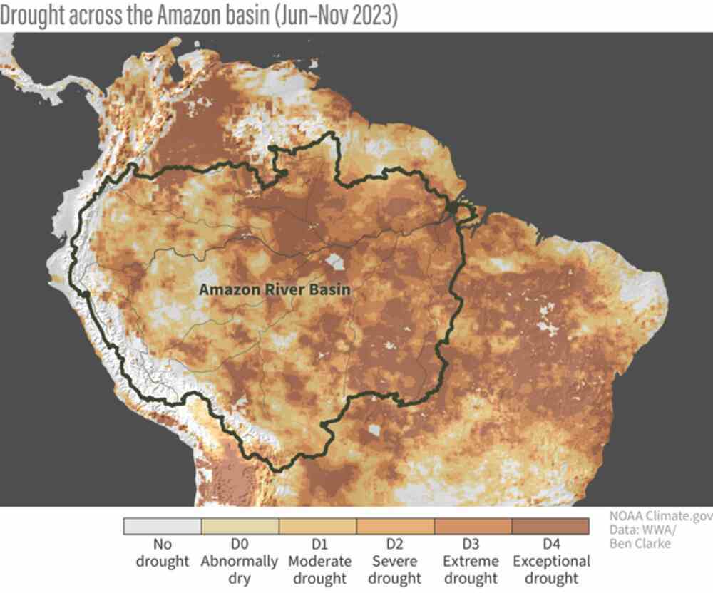 The following information pertains to the drought status of the Amazon River basin from June to November 2023. The classification system used is the U.S. Drought Monitor. According to the analysis conducted by World Weather Attribution and presented by Ben Clarke, a large portion of the eastern half of the basin along with certain areas in the western half are experiencing extreme or exceptional drought conditions. The image used in this report is provided by NOAA Climate.gov.
