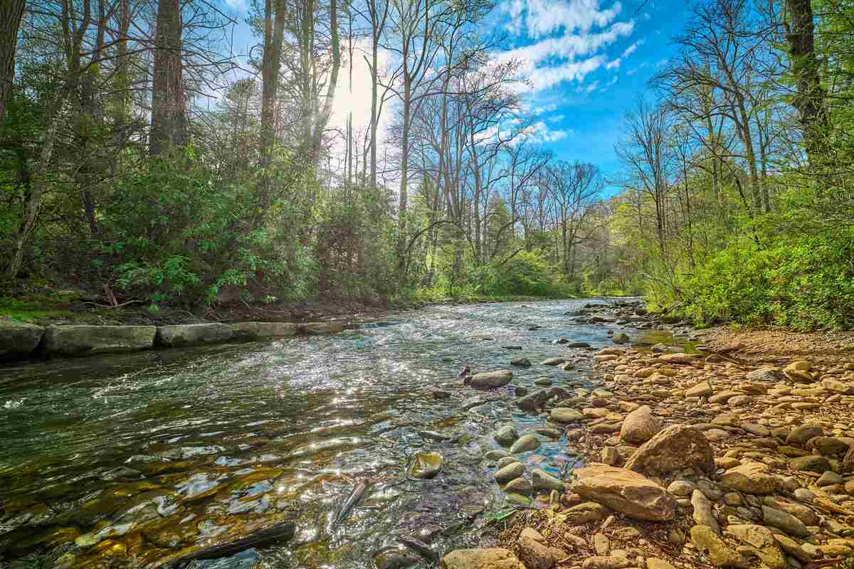 Syracuse University researchers co-authored a study exploring the extent to which human activities are contributing to hydrogeochemical changes in U.S. rivers. The image above is Mills River in Pisgah National Forest, North Carolina.