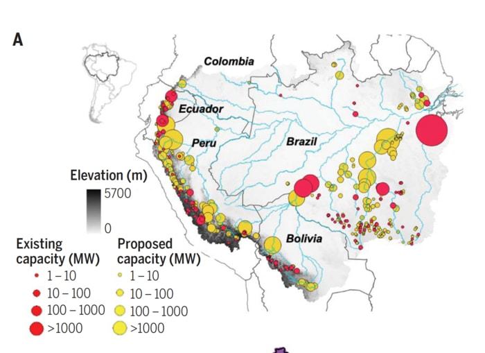 Locations and energy generation capacities of the 158 existing (red) and 351proposed (yellow) hydropower dams in the Amazon basin.  CREDIT Flecker et al. 2022