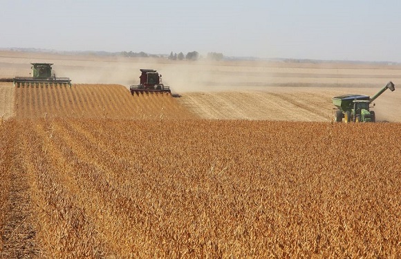 Soybean harvest in Iowa. Climate change could impact agricultural productivity. Photo. Thinkstock