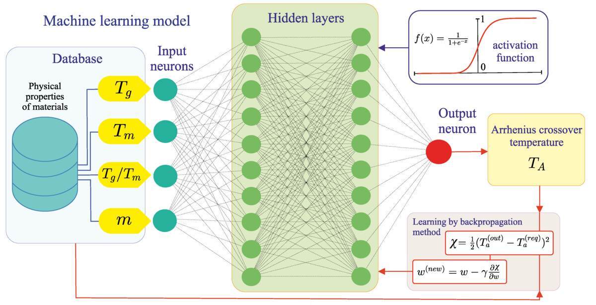 Scheme of the machine learning model based on the feedforward artificial neural network