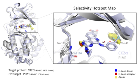 Hotspot maps use empirical data to assess protein binding sites to understand the druggability of the pocket, prioritize drug design, and spot differences in similar proteins that might drive compound selectivity.