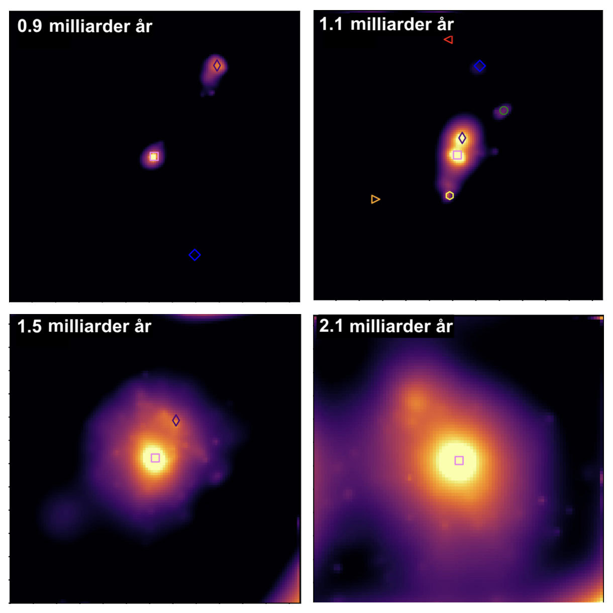Four snapshots of the evolution of a simulated proto-galaxy from the "EAGLE" simulation, chosen to resemble the observed group CGG-z5. The brightness show the density of stars in the galaxies, and the symbols follow individual clumps of matter. In the 1.2 billion years that pass between the upper left and the lower right, the galaxies grows from a total stellar mass of 5 billion Suns to 65 billion Suns. Credit: A. Vijiayan and S. Jin.