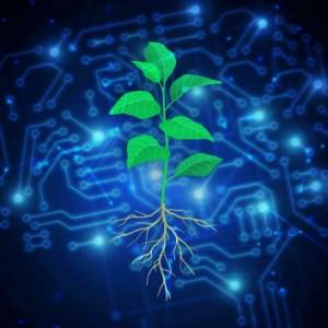 AI software revolutionizes plant engineering to combat climate change
