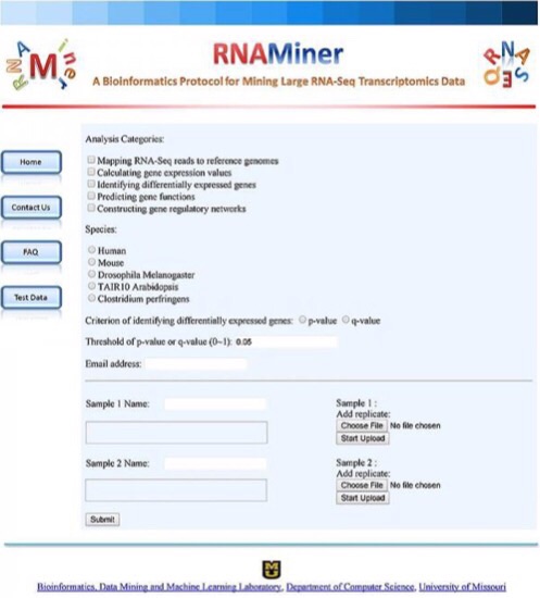 CAPTION The online, free service, RNAMiner, has been developed to handle large data sets which could lead to faster results in the study of plant and animal genomics. CREDIT Jianlin Cheng CAPTION The online, free service, RNAMiner, has been developed to handle large data sets which could lead to faster results in the study of plant and animal genomics. CREDIT Jianlin Cheng