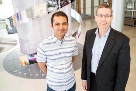 CAPTION Saurabh Sinha, a University of Illinois professor of computer science, left; and Gene Robinson, a professor of entomology and Carl R. Woese Institute for Genomic Biology director; and their colleagues warn that genomics data will likely surpass other Big Data in scale. CREDIT L. Brian Stauffer CAPTION Saurabh Sinha, a University of Illinois professor of computer science, left; and Gene Robinson, a professor of entomology and Carl R. Woese Institute for Genomic Biology director; and their colleagues warn that genomics data will likely surpass other Big Data in scale. CREDIT L. Brian Stauffer