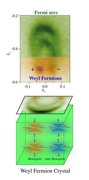 A detector image (top) signals the existence of Weyl fermions. The plus and minus signs note whether the particle's spin is in the same direction as its motion — which is known as being right-handed — or in the opposite direction in which it moves, or left-handed. This dual ability allows Weyl fermions to have high mobility. A schematic (bottom) shows how Weyl fermions also can behave like monopole and antimonopole particles when inside a crystal, meaning that they have opposite magnetic-like charges can nonetheless move independently of one another, which also allows for a high degree of mobility. (Image by Su-Yang Xu and M. Zahid Hasan, Princeton Department of Physics) A detector image (top) signals the existence of Weyl fermions. The plus and minus signs note whether the particle's spin is in the same direction as its motion — which is known as being right-handed — or in the opposite direction in which it moves, or left-handed. This dual ability allows Weyl fermions to have high mobility. A schematic (bottom) shows how Weyl fermions also can behave like monopole and antimonopole particles when inside a crystal, meaning that they have opposite magnetic-like charges can nonetheless move independently of one another, which also allows for a high degree of mobility. (Image by Su-Yang Xu and M. Zahid Hasan, Princeton Department of Physics)