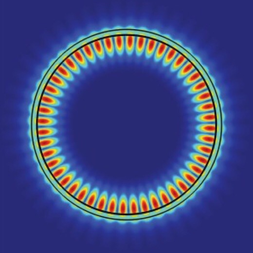 In the whispering gallery mode of a 2D excitonic laser made from a monolayer of tungsten disulfide and a microdisk resonator, the electric field at the edges of the resonator helps promote a high Q factor with low power consumption. In the whispering gallery mode of a 2D excitonic laser made from a monolayer of tungsten disulfide and a microdisk resonator, the electric field at the edges of the resonator helps promote a high Q factor with low power consumption.