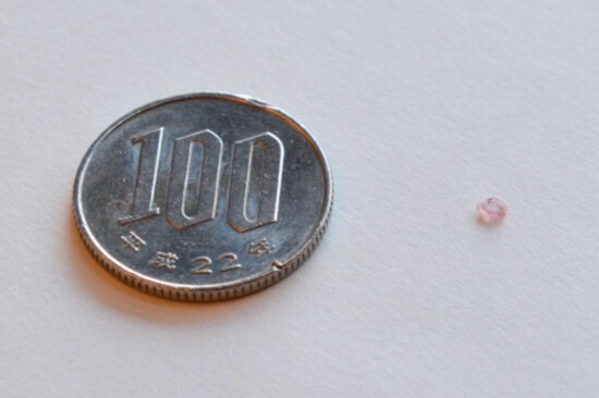 CAPTION A crystal made of manganese and other elements that provides a strong hyperfine interaction between the nucleus and electrons is just a few millimeters wide. It is shown next to a 100 Yen coin for scale. CAPTION A crystal made of manganese and other elements that provides a strong hyperfine interaction between the nucleus and electrons is just a few millimeters wide. It is shown next to a 100 Yen coin for scale.