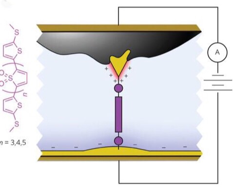 CAPTION Schematic of the molecular junction created using asymmetric area electrodes which functions as a diode, allowing current to flow in one direction only. CAPTION Schematic of the molecular junction created using asymmetric area electrodes which functions as a diode, allowing current to flow in one direction only.