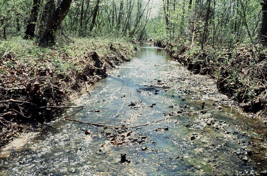 The Bear Creek watershed in Oak Ridge, TN, was a crucial site for the early development of nuclear weapons under the Manhattan Project and harbors spectacular geochemical gradients. The Bear Creek watershed in Oak Ridge, TN, was a crucial site for the early development of nuclear weapons under the Manhattan Project and harbors spectacular geochemical gradients.