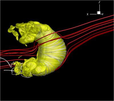 CAPTION The yellow shape in this figure is the heliopause, the boundary between the heliosphere and the local interstellar medium. The sun sits at the center of this large bubble, but is too small to be seen here. The gray lines are the solar magnetic field lines and the red lines are the interstellar magnetic field. CREDIT M. Opher CAPTION The yellow shape in this figure is the heliopause, the boundary between the heliosphere and the local interstellar medium. The sun sits at the center of this large bubble, but is too small to be seen here. The gray lines are the solar magnetic field lines and the red lines are the interstellar magnetic field. CREDIT M. Opher