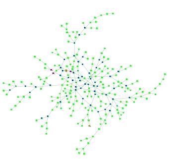 CAPTION Links among infectious networks are shown. CREDIT Filipe Monteiro/Brown University CAPTION Links among infectious networks are shown. CREDIT Filipe Monteiro/Brown University