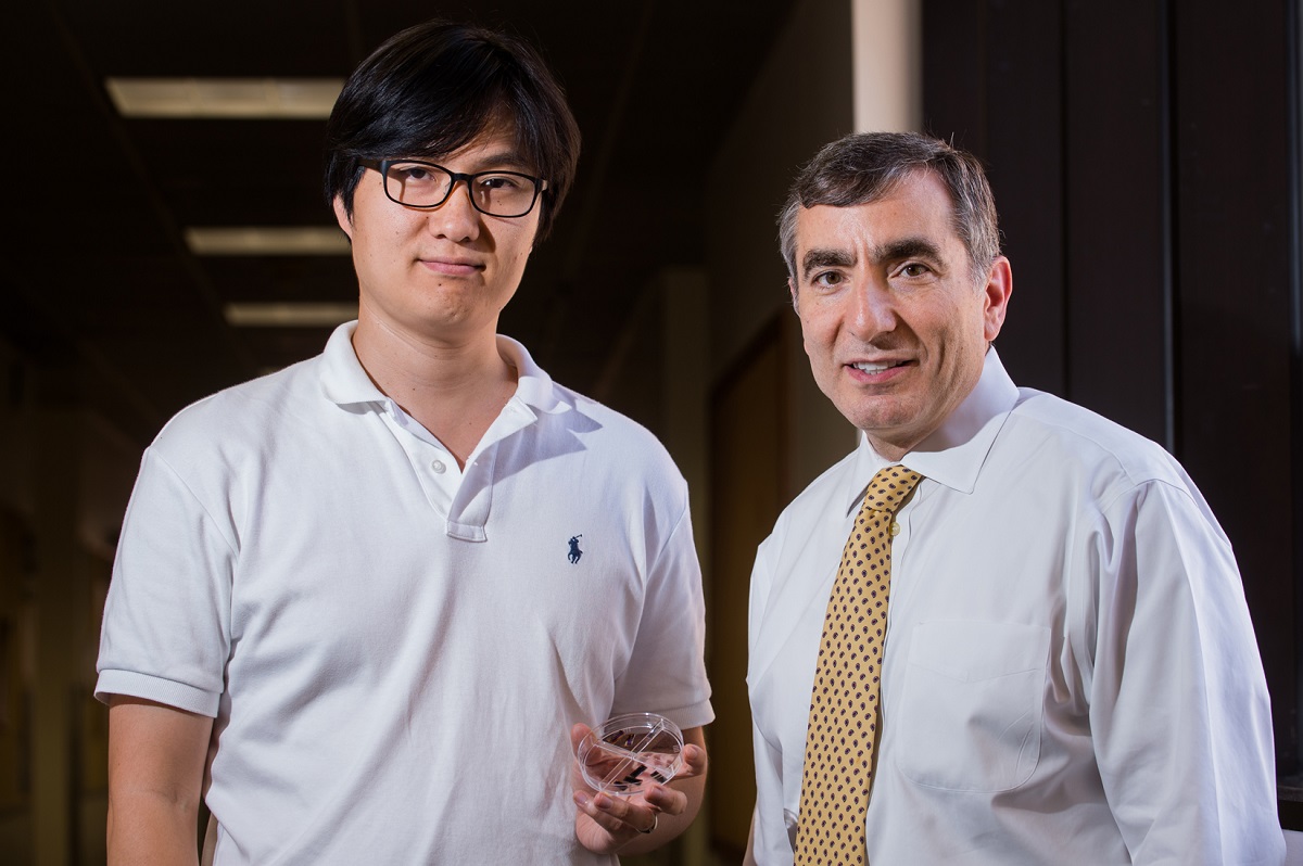 Rice University postdoctoral researcher Gunuk Wang, left, and chemist James Tour have demonstrated new techniques for using porous silicon oxide to make robust RRAM memory chips that can be easily manufactured with existing fabrication techniques. CREDIT: Jeff Fitlow/Rice University Rice University postdoctoral researcher Gunuk Wang, left, and chemist James Tour have demonstrated new techniques for using porous silicon oxide to make robust RRAM memory chips that can be easily manufactured with existing fabrication techniques. CREDIT: Jeff Fitlow/Rice University