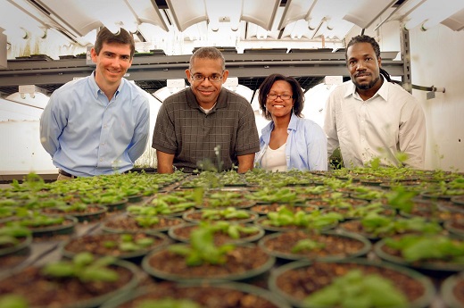 CAPTION A new modeling algorithm is able to identify genes associated with specific biological functions in plants. The work was an interdisciplinary effort including (from left to right) computer engineer James Tuck, environmental engineer Joel Ducoste, plant biologist Terri Long and computer engineer Cranos Williams. CAPTION A new modeling algorithm is able to identify genes associated with specific biological functions in plants. The work was an interdisciplinary effort including (from left to right) computer engineer James Tuck, environmental engineer Joel Ducoste, plant biologist Terri Long and computer engineer Cranos Williams.