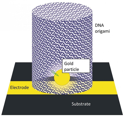 CAPTION Prototypes for cheaper computer chips are being built with metal-containing DNA origami structures. CREDIT Zoie Young, Kenny Lee and Adam Woolley CAPTION Prototypes for cheaper computer chips are being built with metal-containing DNA origami structures. CREDIT Zoie Young, Kenny Lee and Adam Woolley