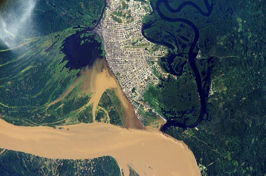 CAPTION A study in Iquitos, Peru, is focusing on how asymptomatic human carriers contribute to the spread of dengue fever, transmitted by the Aedes aegypti mosquito. "This information is important," says Emory University disease ecologist Gonzalo Vazquez-Prokopec, "because Latin America is more than 80 percent urban and the Aedes aegypti mosquito is in every town." CAPTION A study in Iquitos, Peru, is focusing on how asymptomatic human carriers contribute to the spread of dengue fever, transmitted by the Aedes aegypti mosquito. "This information is important," says Emory University disease ecologist Gonzalo Vazquez-Prokopec, "because Latin America is more than 80 percent urban and the Aedes aegypti mosquito is in every town."