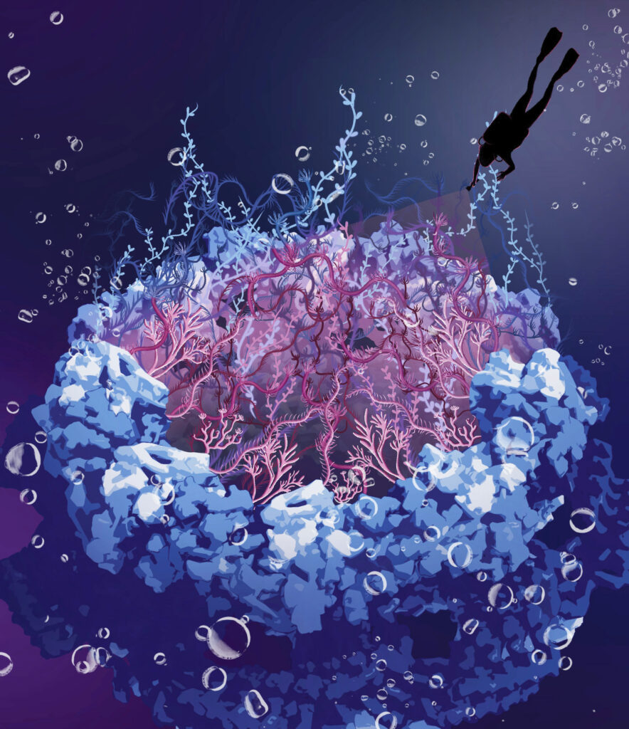 The image shows an artistic impression of the rocky scaffold structure of the nuclear pore complex filled with intrinsically disordered nucleoporins in the central channel depicted as seaweeds. In this work, the viewer dives into the dark hole of the nuclear pore complex to shine light on the disordered nucleoporins. (ill./©: Sara Mingu) The image shows an artistic impression of the rocky scaffold structure of the nuclear pore complex filled with intrinsically disordered nucleoporins in the central channel depicted as seaweeds. In this work, the viewer dives into the dark hole of the nuclear pore complex to shine light on the disordered nucleoporins. (ill./©: Sara Mingu)
