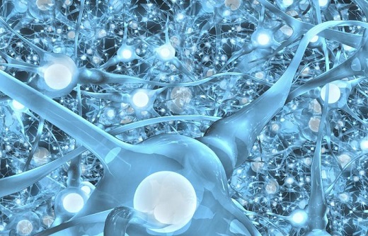 CAPTION New research explains why so many biological networks, including the human brain (a network of neurons), exhibit a hierarchical structure, and will improve attempts to create artificial intelligence. The study, published in PLOS Computational Biology, demonstrates this by showing that the evolution of hierarchy -- a simple system of ranking -- in biological networks may arise because of the costs associated with network connections. CREDIT Steven T. Caputo, CereberalHack.com CAPTION New research explains why so many biological networks, including the human brain (a network of neurons), exhibit a hierarchical structure, and will improve attempts to create artificial intelligence. The study, published in PLOS Computational Biology, demonstrates this by showing that the evolution of hierarchy -- a simple system of ranking -- in biological networks may arise because of the costs associated with network connections. CREDIT Steven T. Caputo, CereberalHack.com