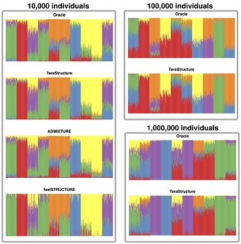 CAPTION On simulated data sets of 10,000 individuals, TeraStructure could estimate population structure more accurately and twice as fast as current state-of-the art algorithms, the study found. TeraStructure alone was capable of analyzing 1 million individuals. Each vertical slice represents a person; the colors, their mix of ancestral populations. CREDIT Wei Hao/Princeton