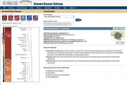 Just launched! Genome Browser in the Cloud (GBiC) introduces more freedom to collaborate, plus faster Genome Browser installations. Just launched! Genome Browser in the Cloud (GBiC) introduces more freedom to collaborate, plus faster Genome Browser installations.