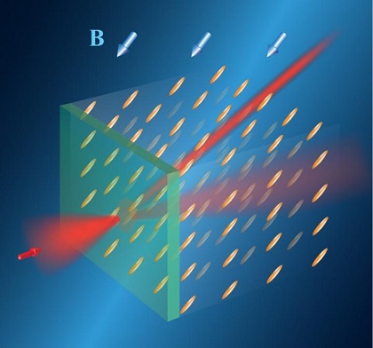 CAPTION Routing of light in a liquid crystal by a magnetic field (B). The orientation of the field determines the orientation of rod-shaped molecules of the liquid crystal and defines direction of the light trajectory. This trajectory can be rapidly changed by changing the orientation of the magnetic field. CAPTION Routing of light in a liquid crystal by a magnetic field (B). The orientation of the field determines the orientation of rod-shaped molecules of the liquid crystal and defines direction of the light trajectory. This trajectory can be rapidly changed by changing the orientation of the magnetic field.