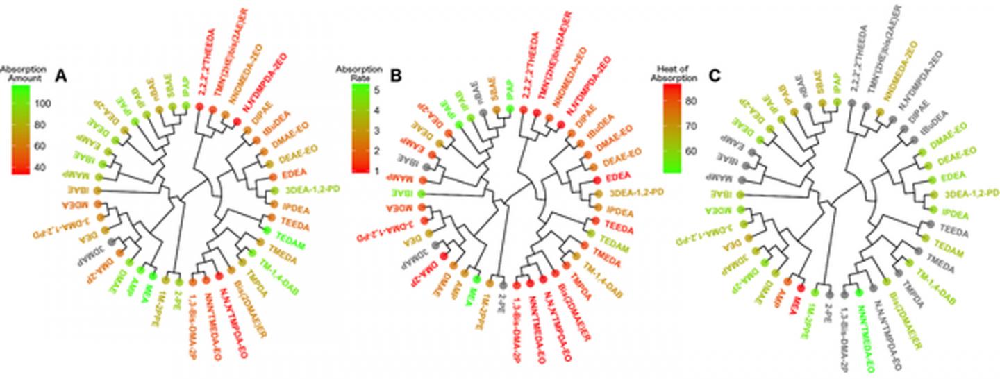 CAPTION Circular dendrograms show amine CO2 absorption amount (A), absorption rate (B) and heat of absorption (C). CREDIT Denis Fourches, NC State University CAPTION Circular dendrograms show amine CO2 absorption amount (A), absorption rate (B) and heat of absorption (C). CREDIT Denis Fourches, NC State University