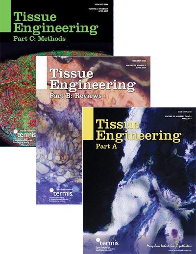 CAPTION Tissue Engineering is the preeminent, biomedical journal advancing the field with cutting-edge research and applications on all aspects of tissue growth and regeneration. CREDIT © 2017, Mary Ann Liebert, Inc., publishers CAPTION Tissue Engineering is the preeminent, biomedical journal advancing the field with cutting-edge research and applications on all aspects of tissue growth and regeneration. CREDIT © 2017, Mary Ann Liebert, Inc., publishers