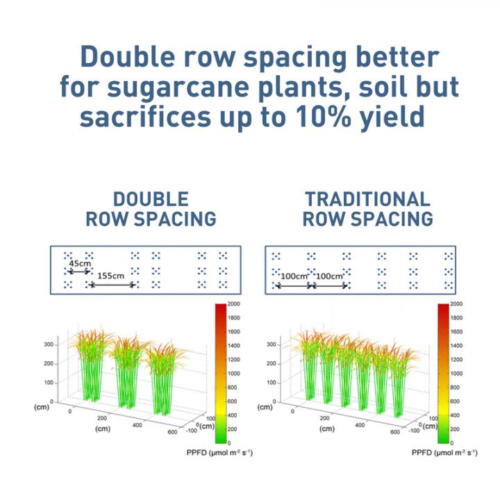 CAPTION Double row spacing is better for sugarcane plants, soil but sacrifices up to 10% of yield. CAPTION Double row spacing is better for sugarcane plants, soil but sacrifices up to 10% of yield.