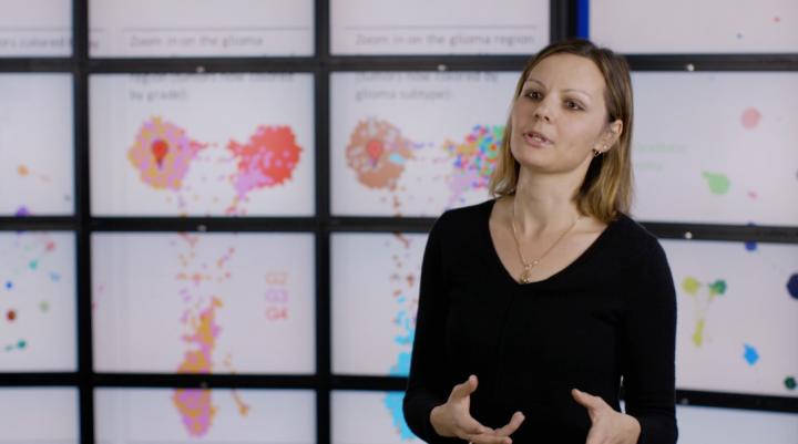 Treehouse Childhood Cancer Initiative Founder Olena Morozova, in a recent interview. Treehouse Childhood Cancer Initiative Founder Olena Morozova, in a recent interview.