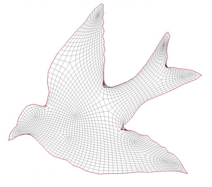CAPTION Untangling quadrilateral meshes using locally injective mappings. CREDIT Krishnan Suresh CAPTION Untangling quadrilateral meshes using locally injective mappings. CREDIT Krishnan Suresh
