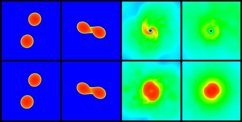 The upper and lower series of pictures each show a simulation of a neutron star merger. In the scenario shown in the upper panels the star collapses after the merger and forms a black hole, whereas the scenario displayed in the lower row leads to an at least temporarily stable star. CREDIT Picture: Andreas Bauswein, HITS The upper and lower series of pictures each show a simulation of a neutron star merger. In the scenario shown in the upper panels the star collapses after the merger and forms a black hole, whereas the scenario displayed in the lower row leads to an at least temporarily stable star. CREDIT Picture: Andreas Bauswein, HITS