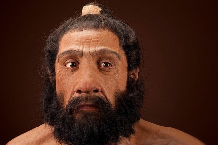 Homo neanderthalensis adult male. Reconstruction based on Shanidar 1 by John Gurche for the Human Origins Program, NMNH. Date: 225,000 to 28,000 years. Homo neanderthalensis adult male. Reconstruction based on Shanidar 1 by John Gurche for the Human Origins Program, NMNH. Date: 225,000 to 28,000 years.
