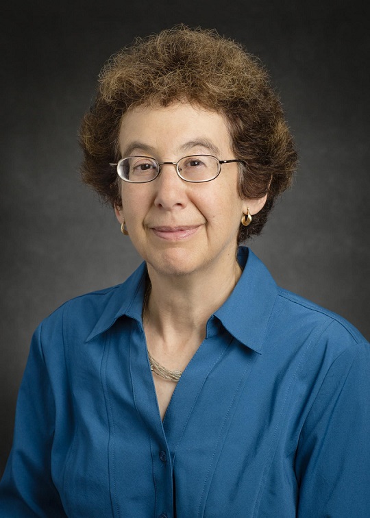 Deborah Levin, Professor of Aerospace Engineering, University of Illinois at Urbana-Champaign. Deborah Levin, Professor of Aerospace Engineering, University of Illinois at Urbana-Champaign.