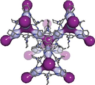 Breathing room: In this computer simulation, light and dark purple highlight the cavities within the 3D pore structure of CC3. Breathing room: In this computer simulation, light and dark purple highlight the cavities within the 3D pore structure of CC3.