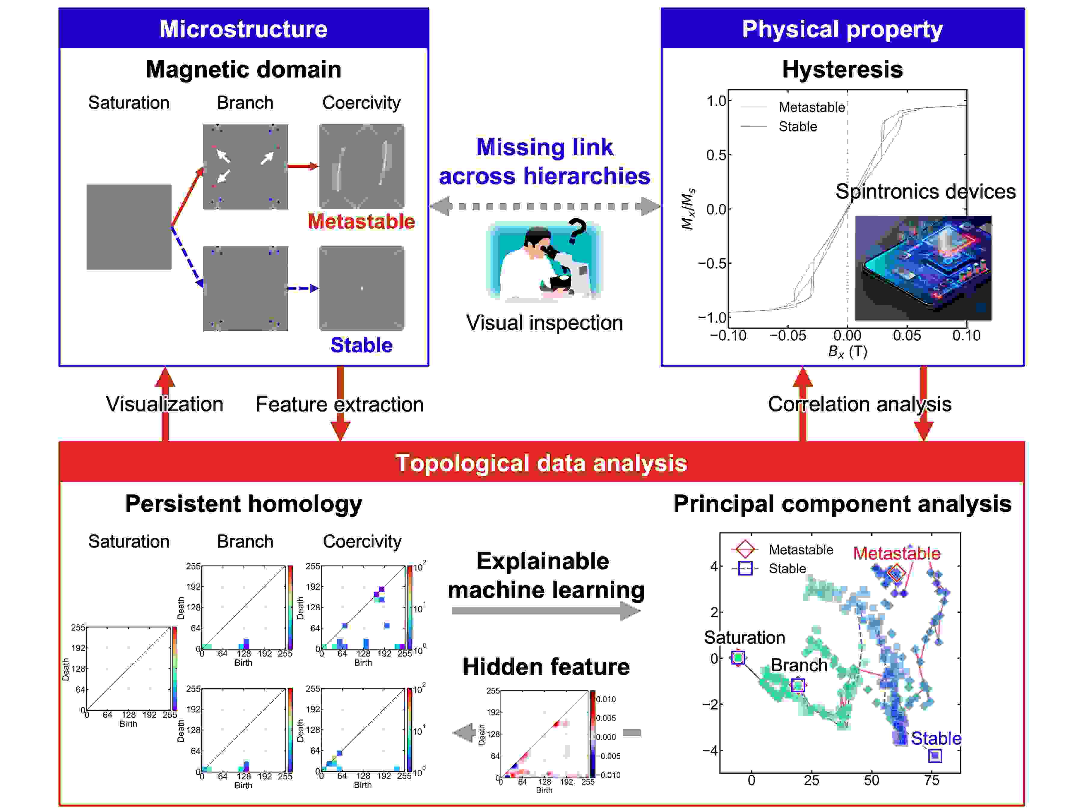 In a recent study, researchers from Japan developed an analysis method, based on persistent homology, a mathematical tool, and principal component analysis, to quantify the complex changes in microscopic magnetic domain structures that are hard to detect with the naked eye. CREDIT Kotsugi Laboratory from Tokyo University of Science, Japan. In a recent study, researchers from Japan developed an analysis method, based on persistent homology, a mathematical tool, and principal component analysis, to quantify the complex changes in microscopic magnetic domain structures that are hard to detect with the naked eye. CREDIT Kotsugi Laboratory from Tokyo University of Science, Japan.
