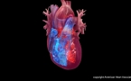 AI can accurately detect heart valve disease, predict cardiovascular risk, aid early detection, prevention