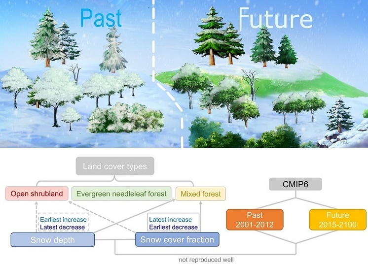 Schematic illustration of the study CREDIT Xiaodan Guan Schematic illustration of the study CREDIT Xiaodan Guan