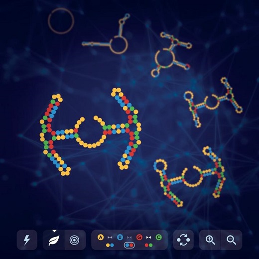 Solving an RNA design problem. Predicted fold of an RNA chain as an Eterna videogame player changes its sequence to eventually arrive at a target fold.