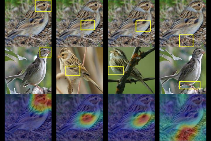 CAPTION A Duke team trained a computer to identify up to 200 species of birds from just a photo. Given a photo of a mystery bird (top), the A.I. spits out heat maps showing which parts of the image are most similar to typical species features it has seen before. CREDIT Chaofan Chen, Duke University CAPTION A Duke team trained a computer to identify up to 200 species of birds from just a photo. Given a photo of a mystery bird (top), the A.I. spits out heat maps showing which parts of the image are most similar to typical species features it has seen before. CREDIT Chaofan Chen, Duke University